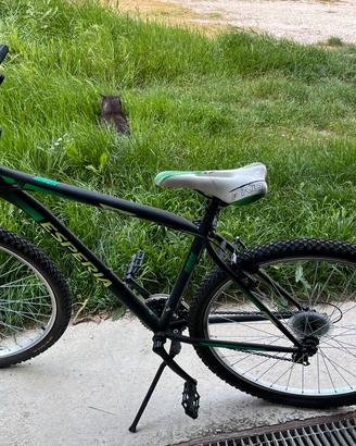 bici usata