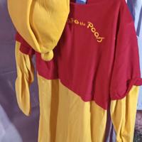 vestito di carnevale 