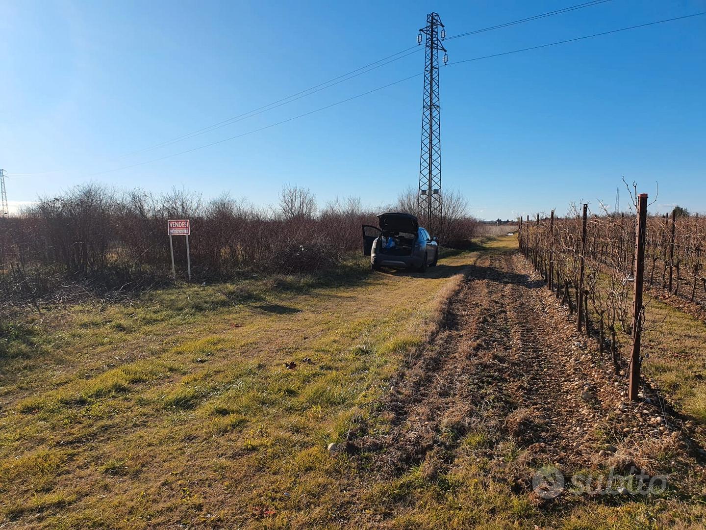 Terreni ottimi per vigneti San Giovanni Natisone - Vista 4