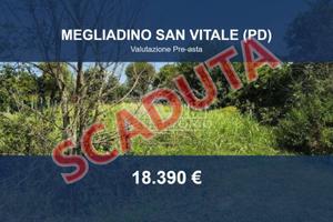 Immobile in asta di 1178 m² a Megliadino San Vital
