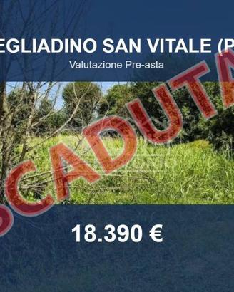 Immobile in asta di 1178 m² a Megliadino San Vital