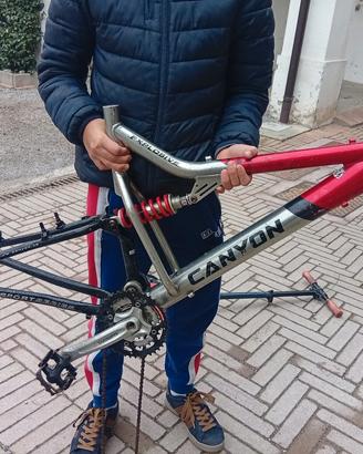 MTB DH 