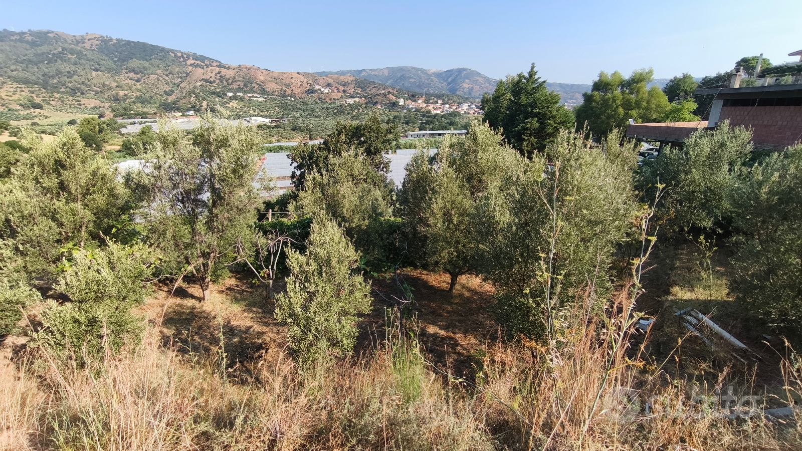 Terreno agricolo - Vista 2