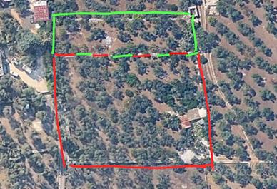 Fondo rustico C.da PADRETERNO SP.107 Giovinazzo