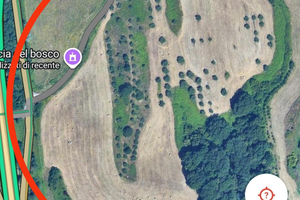 Terreno agricolo 10h