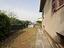 Immagine 22