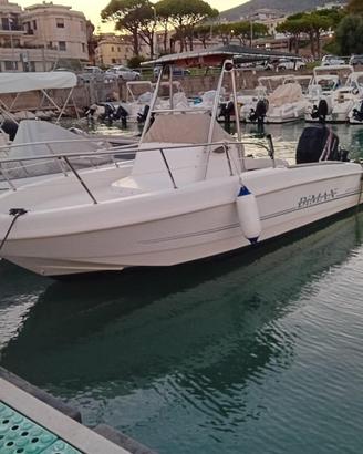 Open walkaround bimax 630