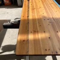 Canna nomura slow pitch