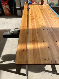 Canna nomura slow pitch