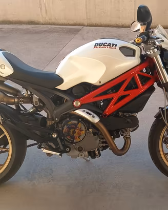 Monster 1100