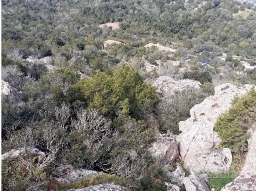 Immobile in asta di 12561 m² a Arzachena - Vista 3