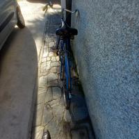 bicicletta  con canna