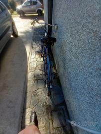 bicicletta  con canna