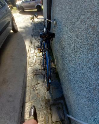 bicicletta  con canna