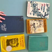 Lotto libri in inglese