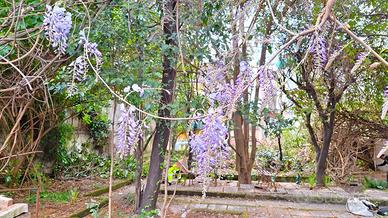 Appartamento con terrazzo e giardino