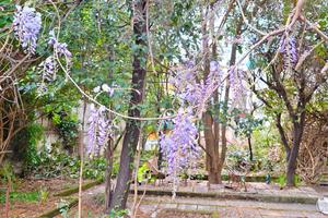 Appartamento con terrazzo e giardino