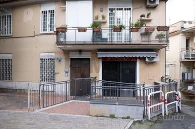 Locale Commerciale - Albano Laziale