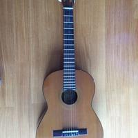 Chitarra vintage Elso Lucesole Castelfidardo Katy