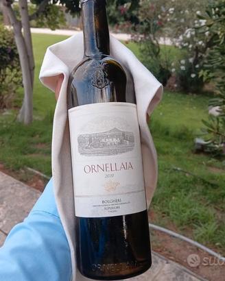 Chef de rang/barlady
