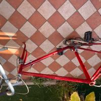 Telaio bicicletta vintage completo