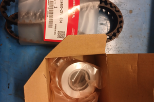 Cinghia distribuzione honda bf40