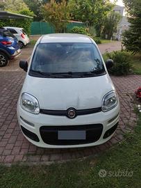 FIAT Panda 1.2 Pop 69 CV