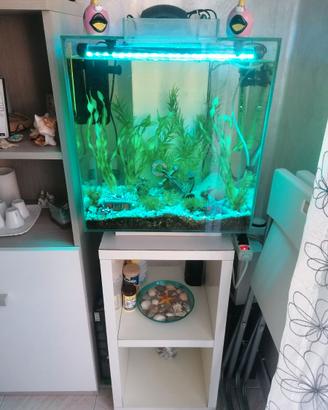 Acquario  50 lt completo di mobiletto