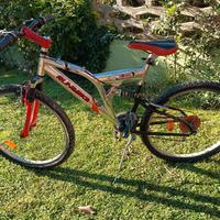 Bicicletta Mountain Bike