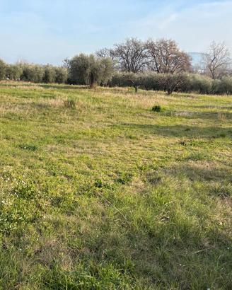 Terreno agricolo