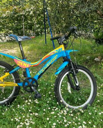 bicicletta da bambino 