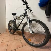 Bianchi Kuma 4400