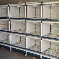 gabbie voliera italgabbie