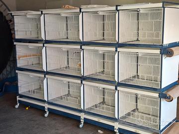 gabbie voliera italgabbie