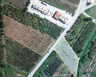 Edificabile industriale