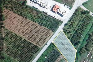 Edificabile industriale