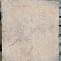 Biscotto forno effeuno e similari