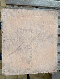 Biscotto forno effeuno e similari