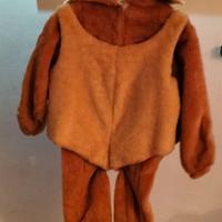 Costume di carnevale