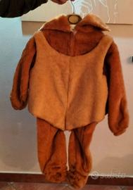 Costume di carnevale