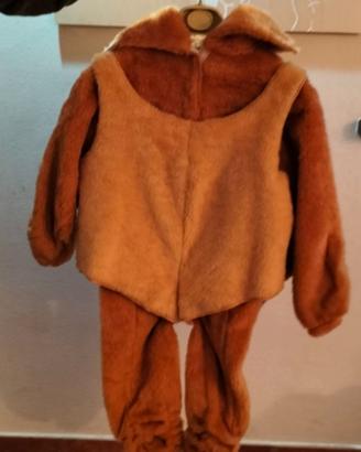 Costume di carnevale