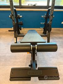 Panca declinata Matrix