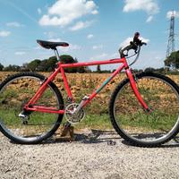 Bici MTB 26" Specialized vintage