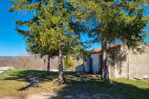 Rustico e splendido terreno. Scende il prezzo