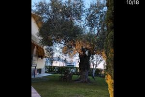 Bed&breakfast B&B Magnolia House