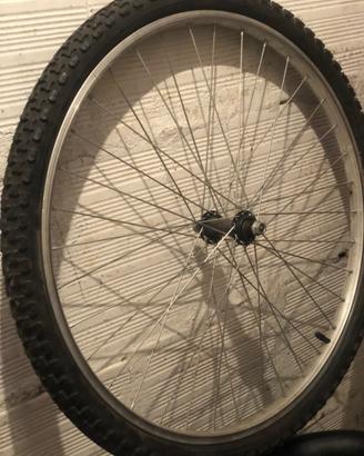Ruota bici
