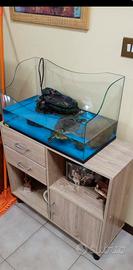 🌿 Terrario per tartarughe d’acqua