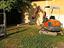 Immagine 12