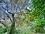 Immagine 15