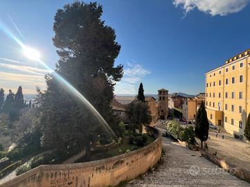 MULTILOCALE A TIVOLI